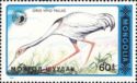 White-naped Crane (Grus vipio) for food search